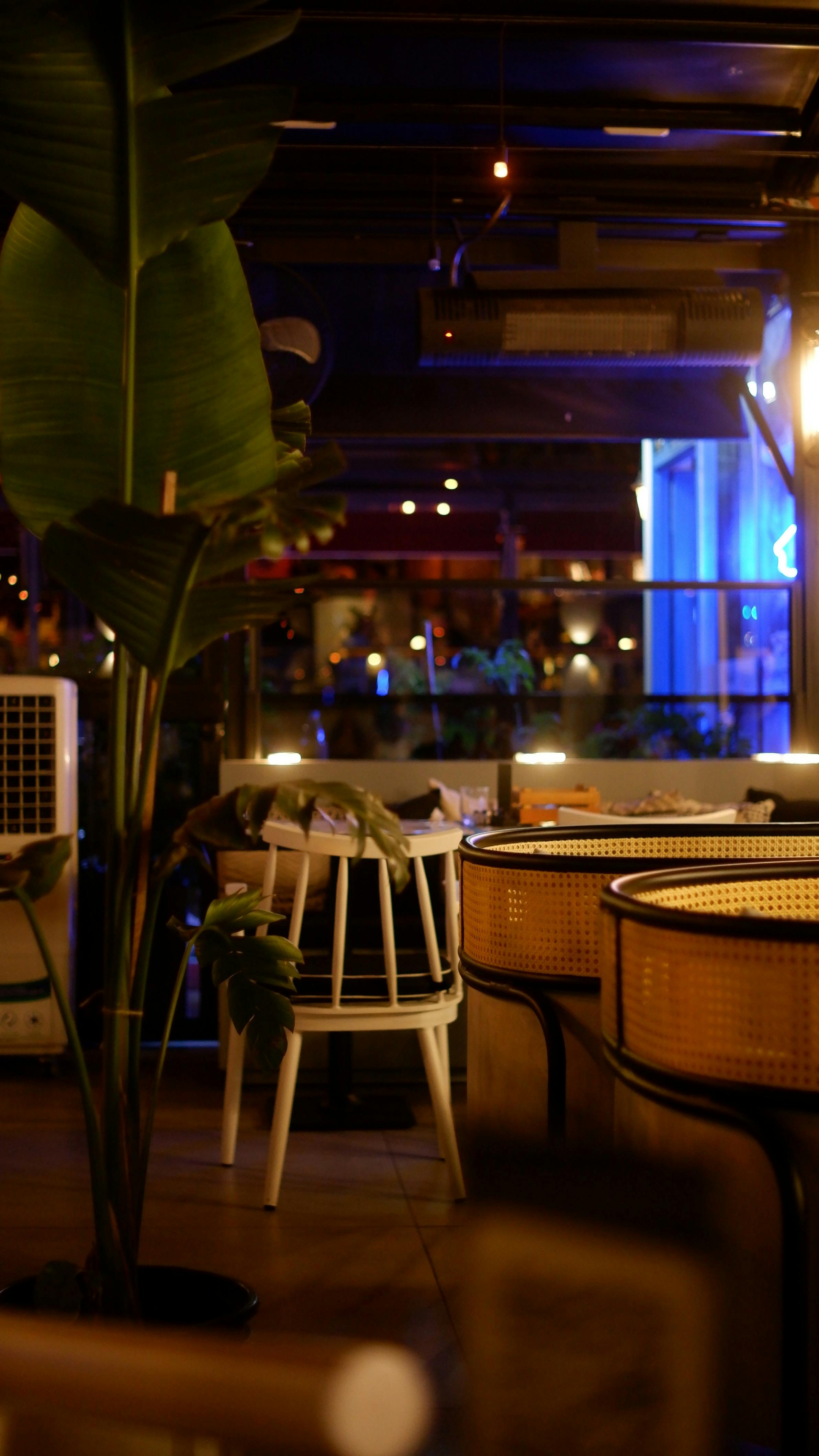 Warm hospitality interior with cinematic lighting